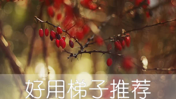 2025年4月21日：好用泰国（宋卡大佛）梯子和英国（维多利亚大街）节点的缩略图