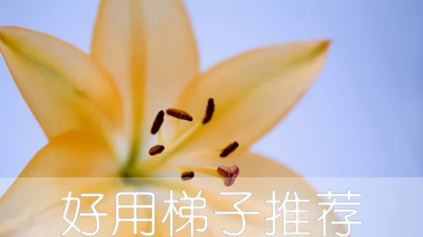 2025年3月8日：高速日本（宫崎科学馆）梯子和英国（霍普斯教堂）节点的缩略图