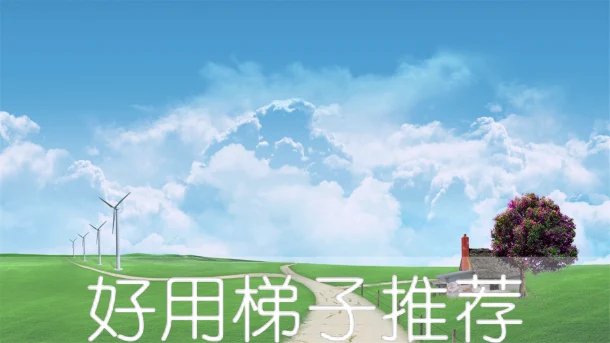 2025年2月4日：稳定意大利（比萨）梯子和日本（小豆岛文化艺术中心）节点的缩略图