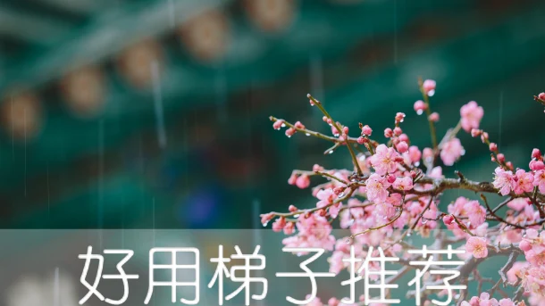 2025年2月9日：好用（东路易斯维尔）美国梯子和（亚历山大）美国节点的缩略图