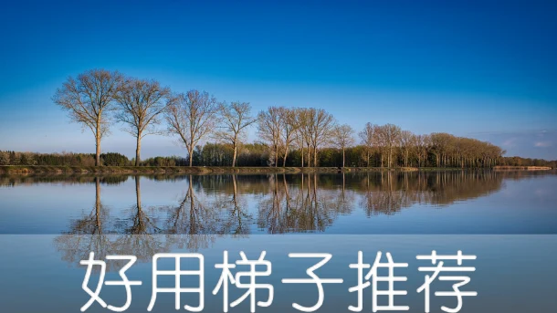 2025年2月11日：高速（斯特拉斯堡）法国梯子和日本（玉野市民会館）节点的缩略图
